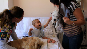 Ecuador-therapy-dogs-ap-1col.jpg