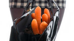 carrots-handbag-1col.jpg