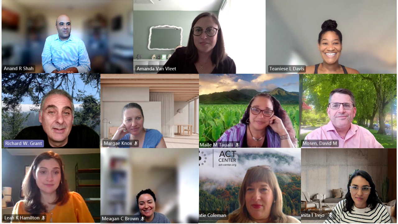 SONNET team in a virtual Teams meeting
